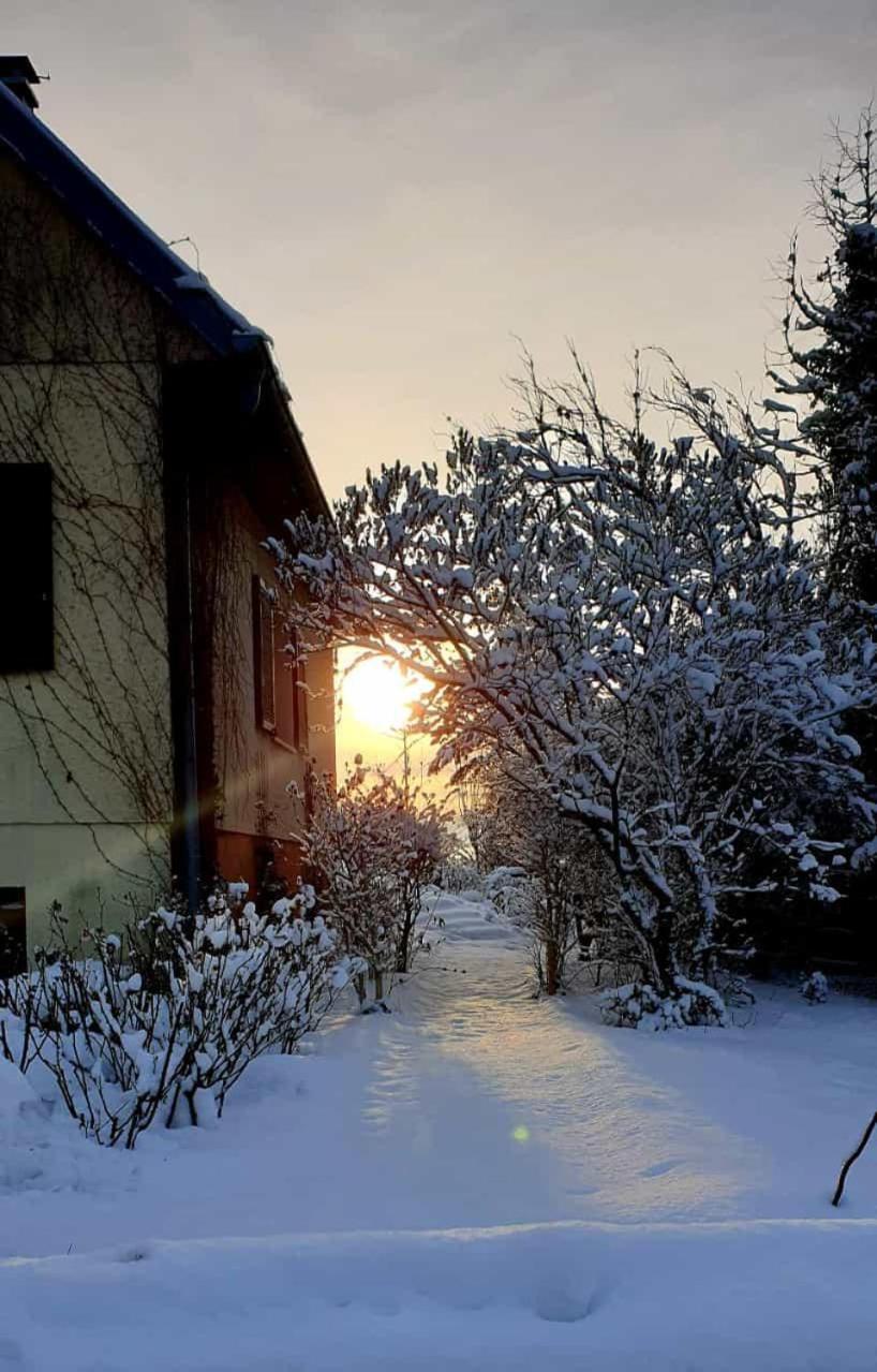 La Maison Des Roses Drachenbronn-Birlenbach Exterior foto